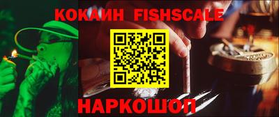 МДПВ Кингисепп