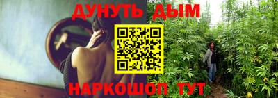 гашик Кимры
