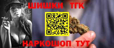 МДПВ Кингисепп