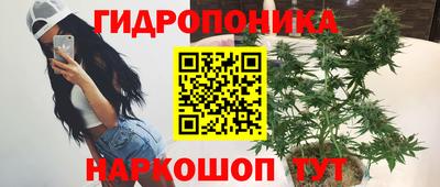 гашик Кимры