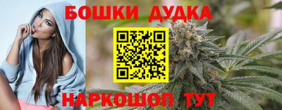 МДПВ Кингисепп
